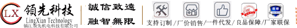 鎮江領(lǐng)先機電科技有限公司網(wǎng)站