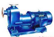 ZCQ型自吸式磁力驅動(dòng)泵